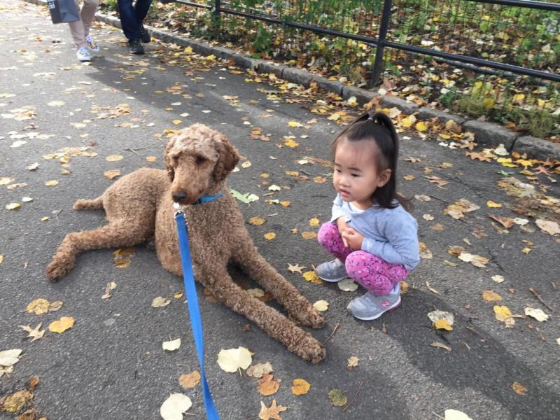 Bella makes a special friend